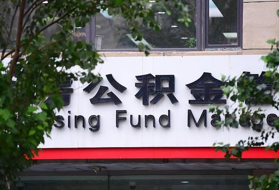 临清公积金离职封存是什么意思（公积金 离职 封存）